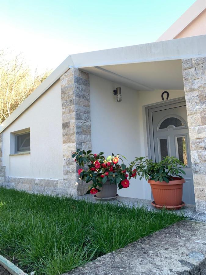 Markovic Village Apartments أولتْسي المظهر الخارجي الصورة